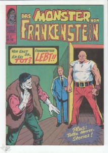 Frankenstein 17