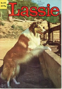 Fernseh Abenteuer 20: Lassie