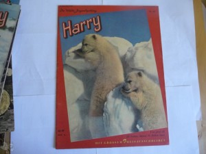 Harry - Die bunte Jugendzeitung 60