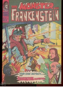 Frankenstein 16
