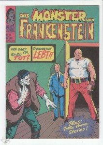 Frankenstein 17