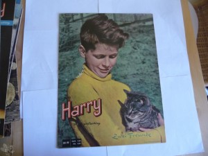 Harry - Die bunte Jugendzeitung 55